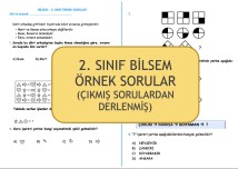 2. Sınıf BİLSEM Örnek Sorular
