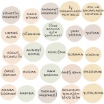 MERKEZİ SİNİR SİSTEMİ GÖREVLERİ