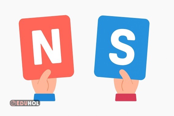 mıknatıs sınıf içi etkinlik  kullanım kartı