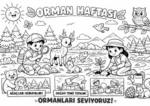 Orman Haftası Boyama