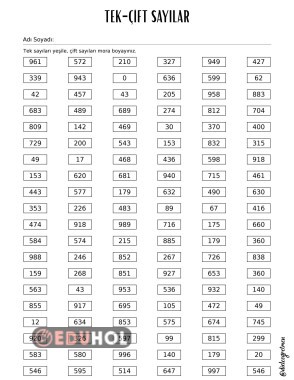Tek Çift Sayılar