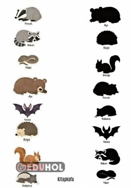 Kış Uykusuna Yatan Hayvanlar gölge eşleştirme