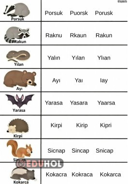 Yazı farkındalığı erken okur yazarlık