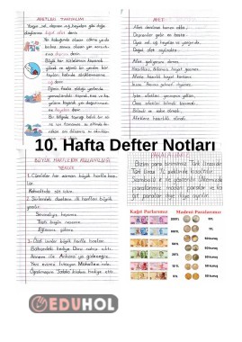 2 S N F 10 HAFTA DEFTER NOTLAR M GE G LDIKEN WEB DE REN visual data 6