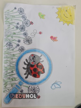 Büyüleyici büyüteç