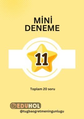 mini deneme 11