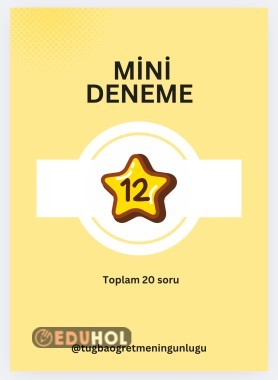 Mini deneme 12