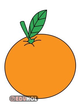 Yerli malı portakal 4 parça