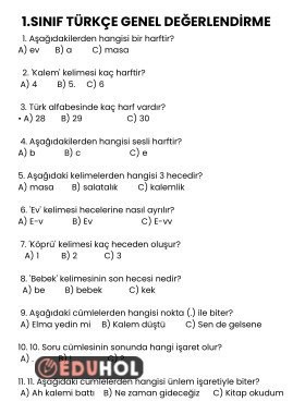 türkçe genel değerlendirme 3