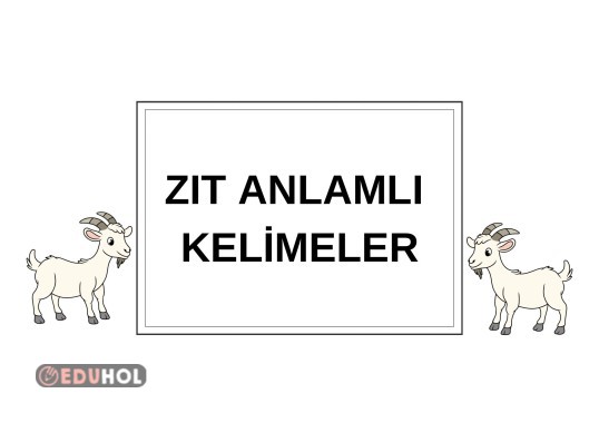 Zıt anlamlı kelime kartları pano