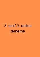 3. sınıf 3. deneme
