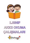 AKICI OKUMA KİTAPÇIGI