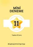 mini deneme 11