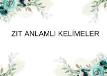 Zıt anlamlı kelimeler