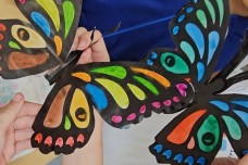 BÜYÜK BOY KELEBEKLER