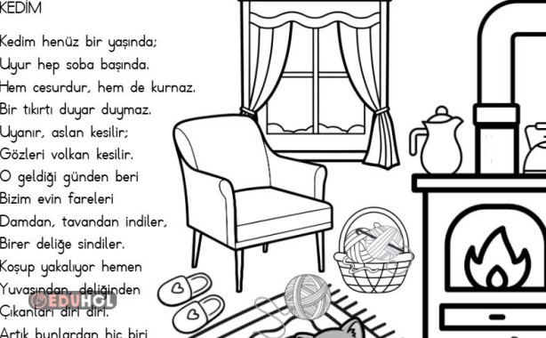 Akıcı Okuma-Şiir-Kedim