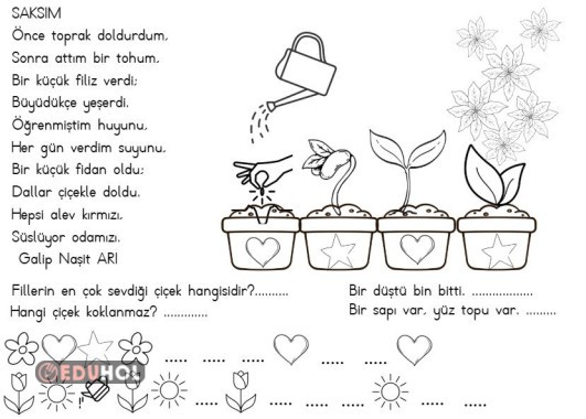 İlk Ders Orman - Fidan Dikim Etkinliği