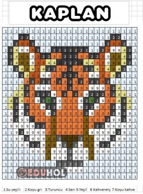 Karesel Kodlama Boyama- Kaplan