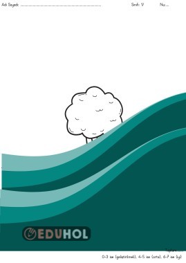 1. Sınıf Nesnelerin Geometrisi 2- Biçimlendirici Değerlendirme