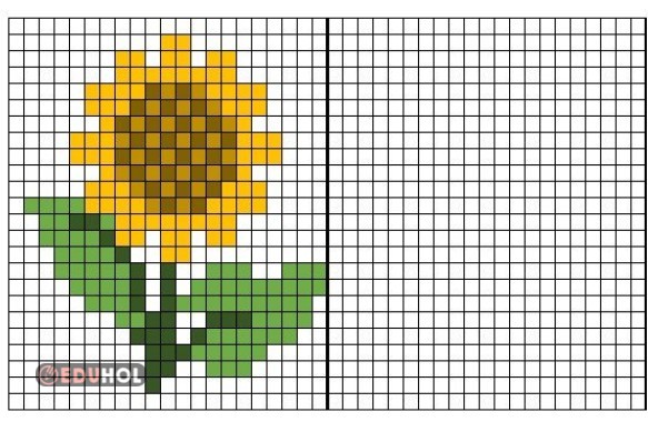 Simetri -Ayçiçeği