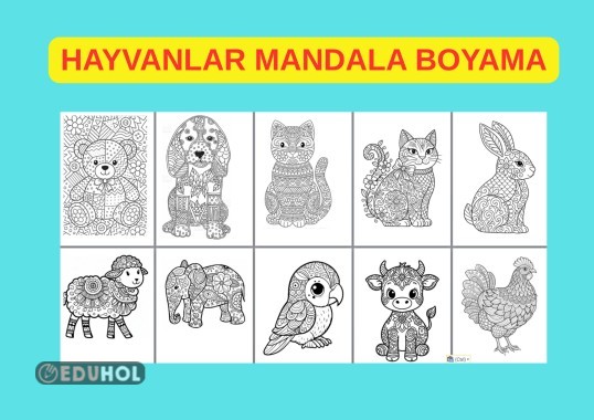 HAYVANLAR MANDALA ETKİNLİĞİ