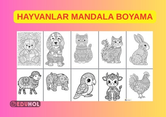 HAYVANLAR MANDALA ETKİNLİĞİ