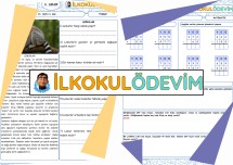 Türkçe Matematik 13. hafta 4. Gün Ödevi