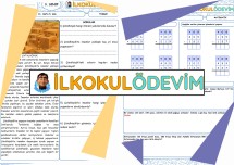 Türkçe Matematik 13. Hafta 5. Gün Ödevi