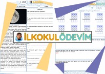 Türkçe Matematik 14. Hafta 2. Gün Ödevi