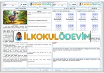 Türkçe Matematik 14. Hafta 3. Gün Ödevi