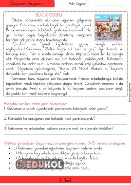 Büyük Coşku Okuma Anlama Metni