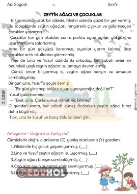 Filistin Farkındalık Etkinlikleri 'Zeytin Ağacı ve Çocuklar' Okuma Anlama Metni
