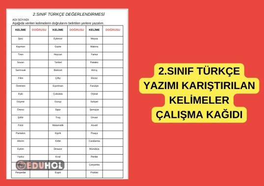 2.SINIF TÜRKÇE YAZIMI KARIŞTIRILAN KELİMELER ÇALIŞMA KAĞIDI ETKİNLİK