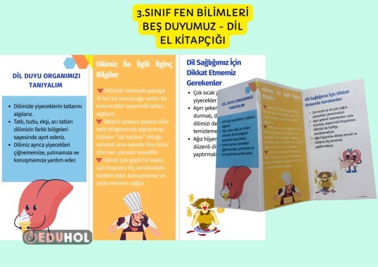 3.SINIF FEN BİLİMLERİ BEŞ DUYUMUZ EĞLENCELİ EL KİTAPÇIĞI - DİL / Duyu Organları / DUYU ORGANLARIMIZ