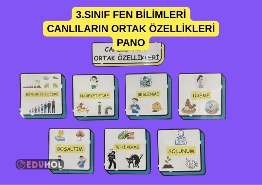 3.SINIF FEN BİLİMLERİ CANLILARIN ORTAK ÖZELLİKLERİ PANO ( canlılar dünyasına yolculuk )
