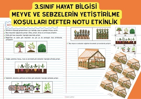 3.SINIF HAYAT BİLGİSİ MEYVE VE SEBZELERİN YETİŞME KOŞULLARI DEFTER NOTU VE KES YAPIŞTIR ETKİNLİK