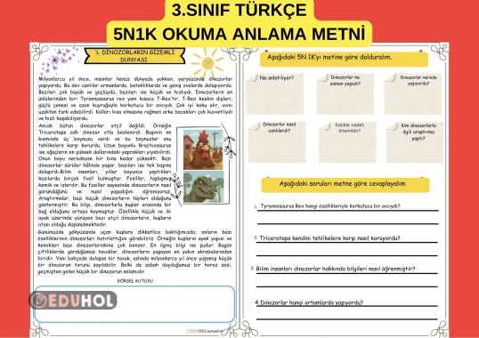 3.SINIF TÜRKÇE / OKUMA ANLAMA METNİ / DİNOZORLARIN GİZEMŞİ DÜNYASI / 5N1K
