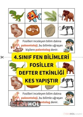 4.SINIF FEN BİLİMLERİ / FOSİLLER / İNTERAKTİF DEFTER ETKİNLİĞİ / DEFTER NOTU