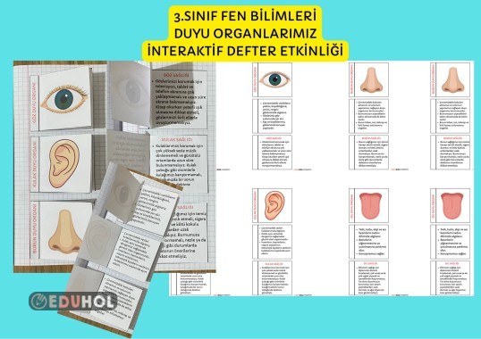 DUYU ORGANLARI DEFTER NOTU / BEŞ DUYUMUZ İNTERAKTİF ETKİNLİK