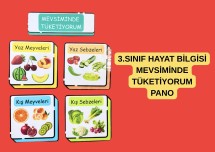 3.SINIF HAYAT BİLGİSİ MEVSİMİNDE TÜKETİYORUM PANO