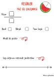 Kesirler Yaz Sil Çalışması