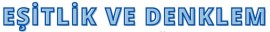 DENKLEM ÇÖZME