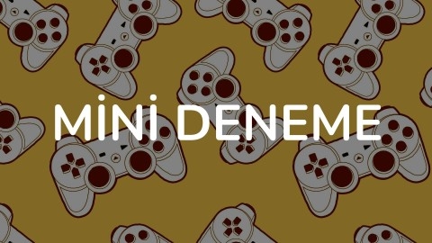 MİNİ DENEME SINAVI