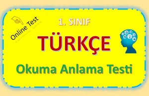 Türkçe Okuma Anlama Testi 2