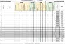 Türkçe Süreç Değerlendirme Çizelgesi