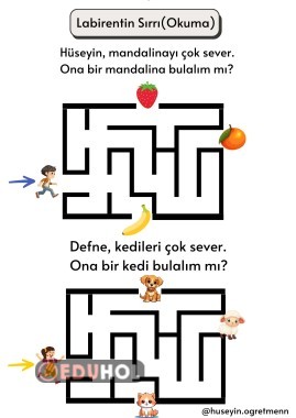 Okuduğunu Anlama(Labirent)