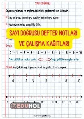 Sayı Doğrusu Defter Notları ve Çalışma Kağıtları
