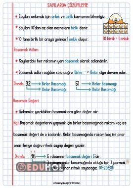 Sayılarda Çözümleme Defter Notları ve Çalışma Kağıtları