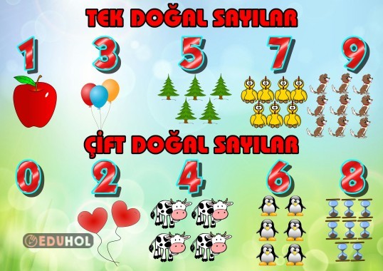 Tek - Çift Sayılar Defter Yapıştırma