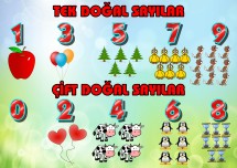 Tek - Çift Sayılar Defter Yapıştırma